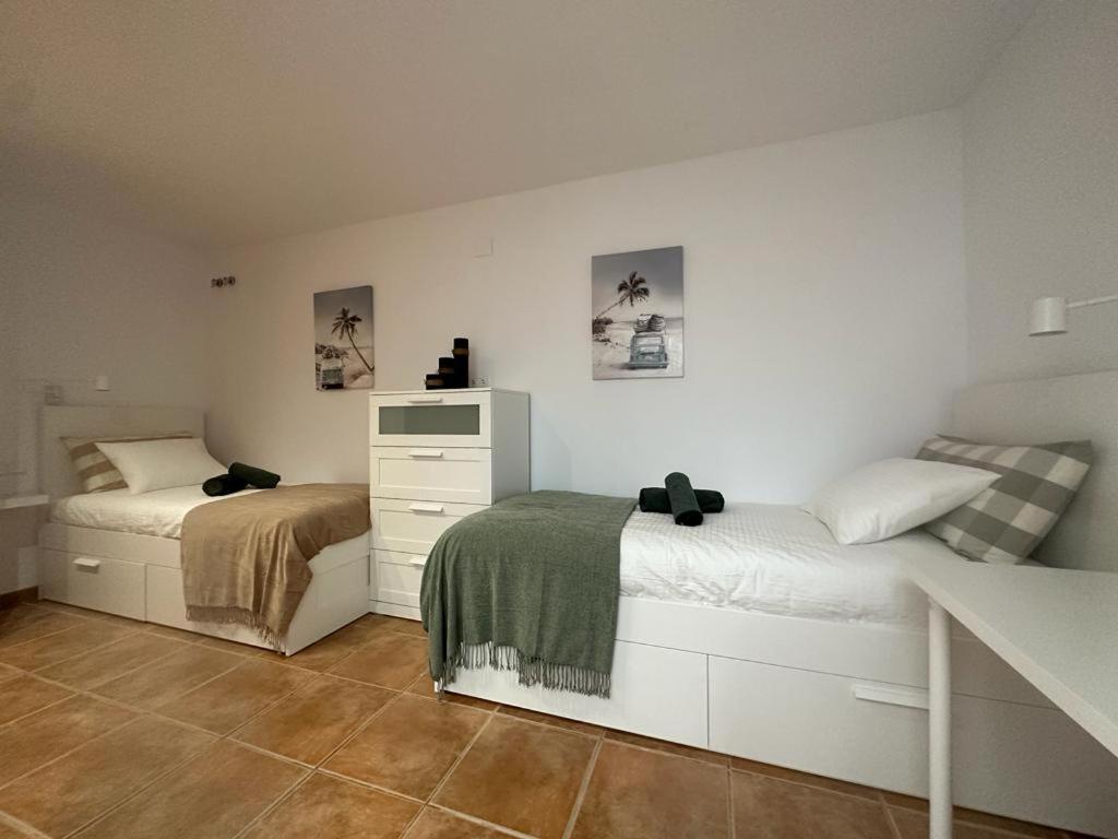 Apartamento Casa Cullerer Amposta Exterior foto